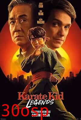 功夫梦：融合之道