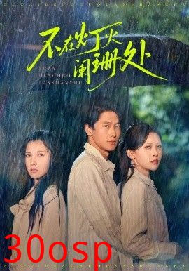 不在灯火阑珊处短剧