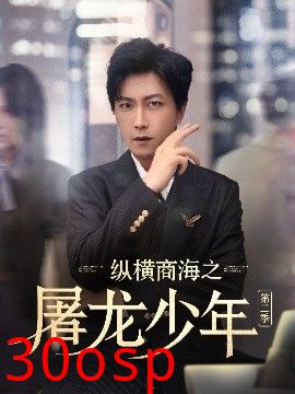 纵横商海之屠龙少年第二季