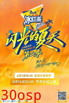闪光的夏天第二季