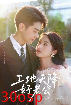 工地天降好老公