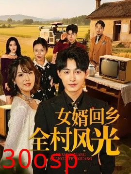 女婿回乡全村风光