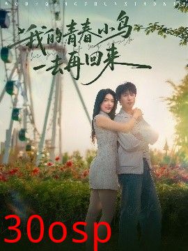 我的青春小鸟一去再回来