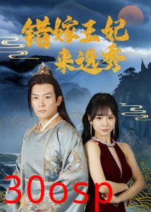 错嫁王妃来选秀