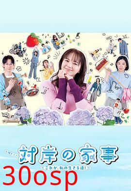 对岸的家务事～这就是我的生存之道！～