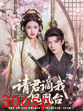 请君谪我凤凰台