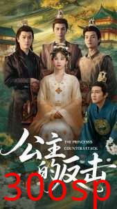 公主的反击