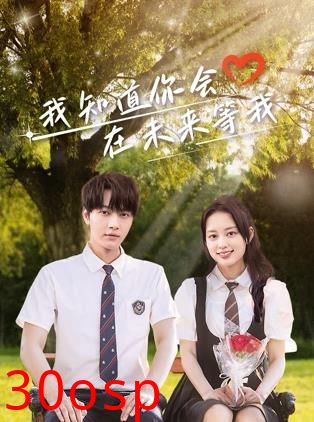 我知道你会在未来等我