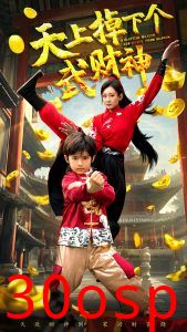 天上掉下个武财神