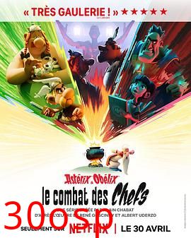 高卢英雄：首领争夺战