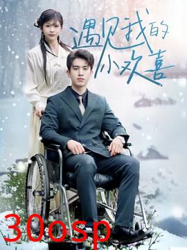 遇见我的小欢喜