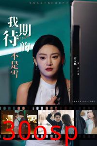 我期待的不是雪