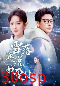 雪落再说我爱你