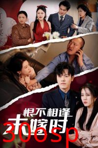 恨不相逢未嫁时30集