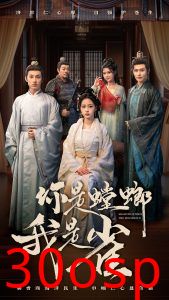 你是螳螂我是雀