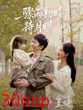 骤雨初晴待月明