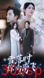 雪落时你向南飞