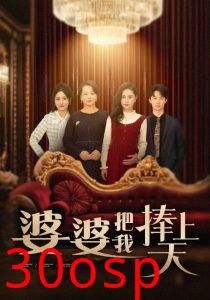 婆婆把我捧上天