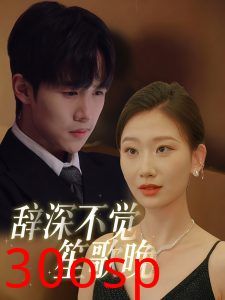 辞深不觉笙歌晚