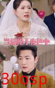 当爱隐于夜色中