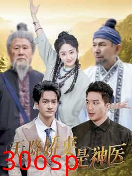 天降娇妻是神医