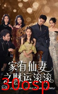 家有仙妻之财运滚滚