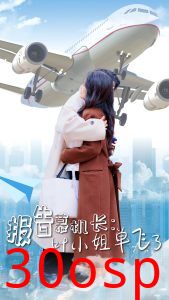 报告慕机长叶小姐单飞了