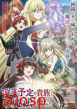 虽然我是注定没落的贵族，闲来无事只好来深究魔法