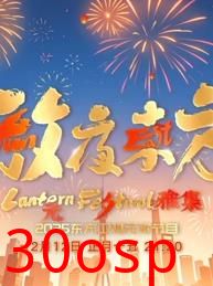 2025东方元宵晚会