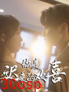 你是迟来的欢喜78集