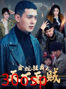 金蛇狂舞之天下无贼