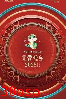 中央广播电视总台2025年元宵晚会