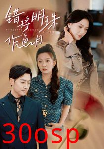 错将明珠作鱼目