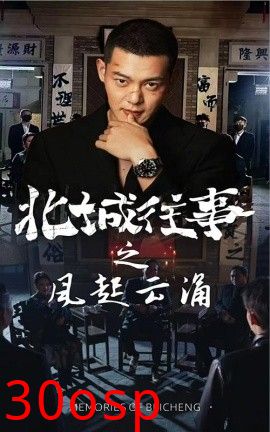 北城往事之风起云涌