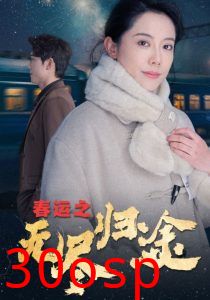 春运之无尽归途