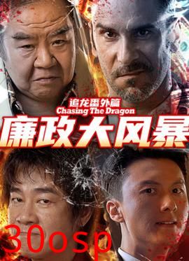 追龙番外篇之廉政大风暴