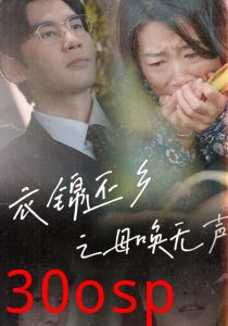 衣锦还乡之母唤无声