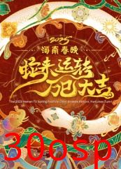 2025河南春晚——蛇来运转 万巳大吉