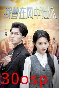 我曾在风中遇你