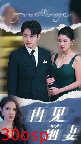 再见前妻