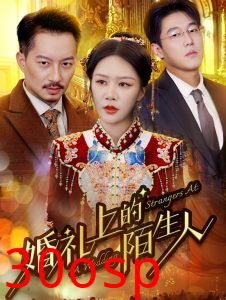 婚礼上的陌生人