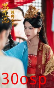 黑莲花凤鸣天下