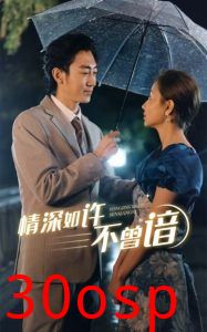 情深如许不曾谙