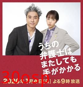 我家的律师又惹麻烦了