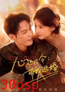 心动指令：带我逃婚