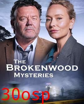 断林镇谜案第十一季