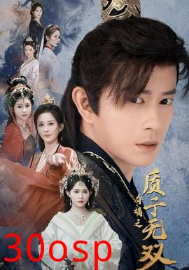 夺嫡之质子无双