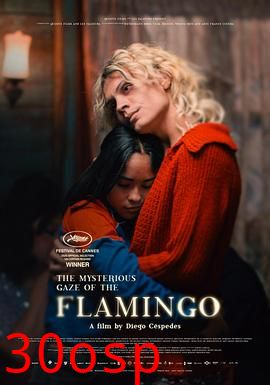 弗拉明戈的神秘眼神