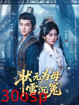 状元为母雪沉冤