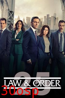 法律与秩序第二十五季